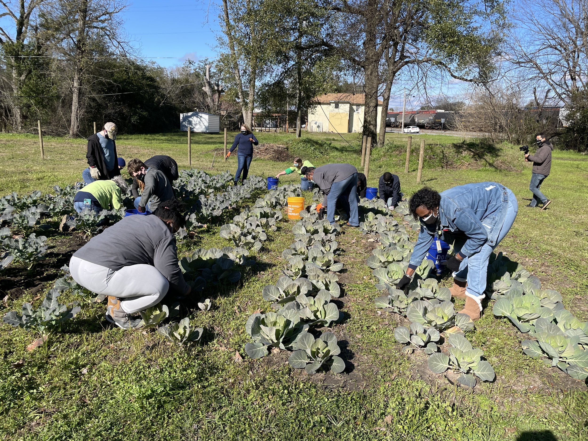 Phoebe Putney Hosts MLK DOS (walb.com)