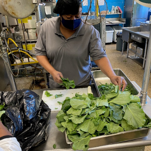 International Studies Elementary Charter School Garden Marked Success (albanyherald.com)