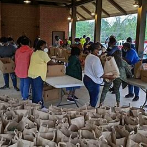 Healthy Sumter, Flint River Fresh join forces once again deliver food bags to communities in Leslie, Plains and Andersonville (americustimesrecorder.com)