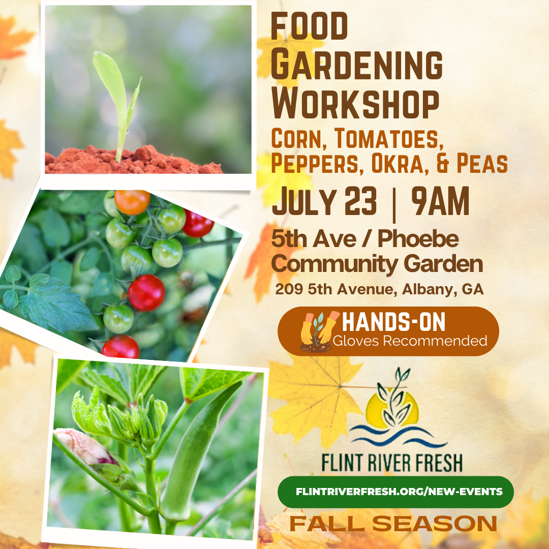 Fall Food Gardening Workshops (albanyherald.com)