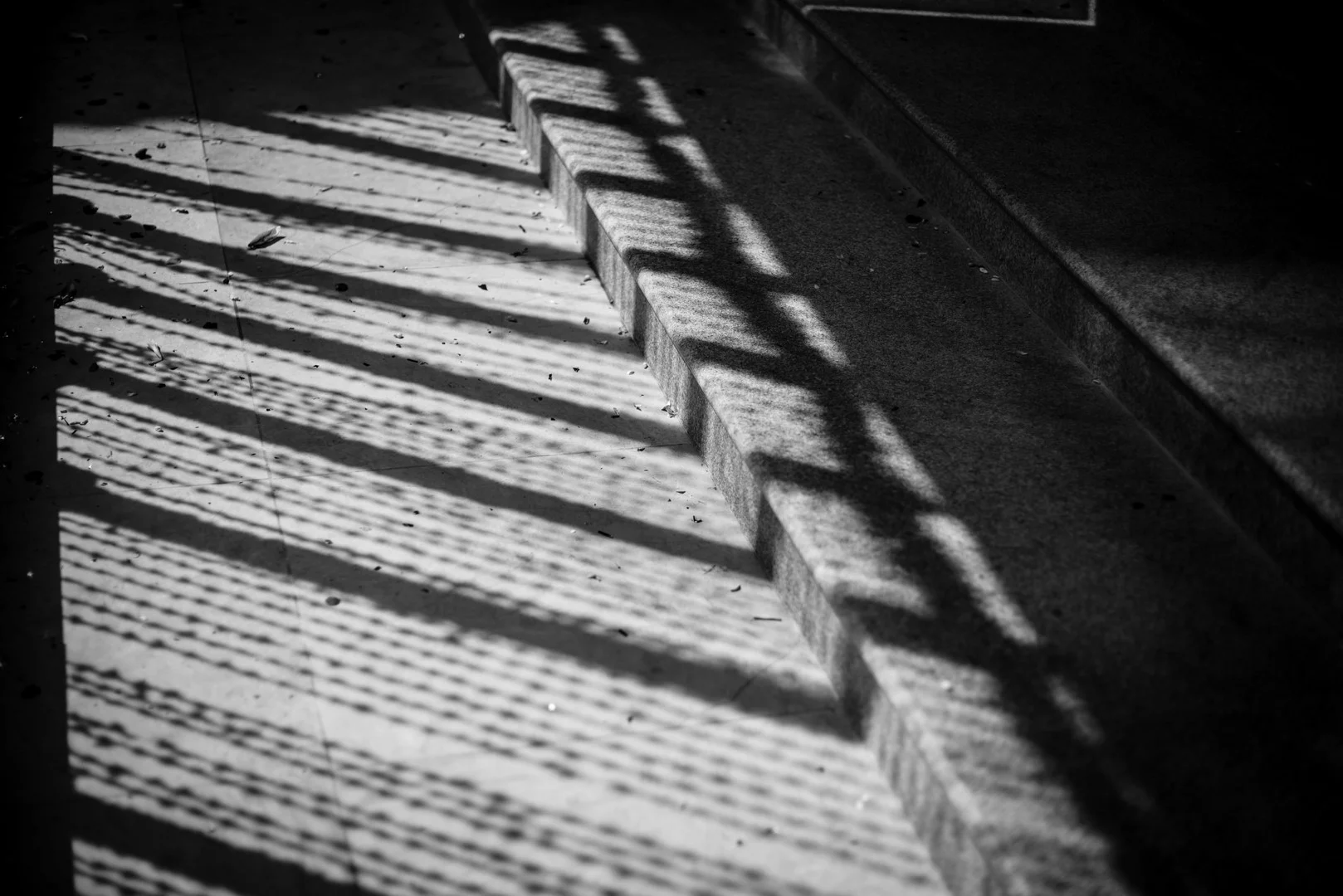 A+D_1263 (Copy).jpg