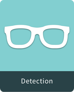 Detection.png