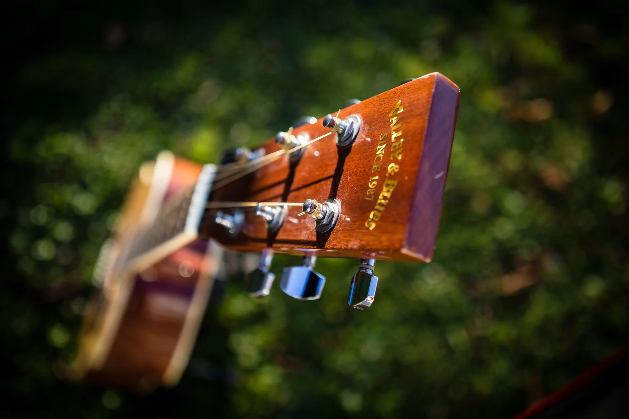 Close-up of the headstock of a brown Taylor & Brindle vintage acoustic guitar with gold lettering, showing tuning pegs and strings, on a grassy background.