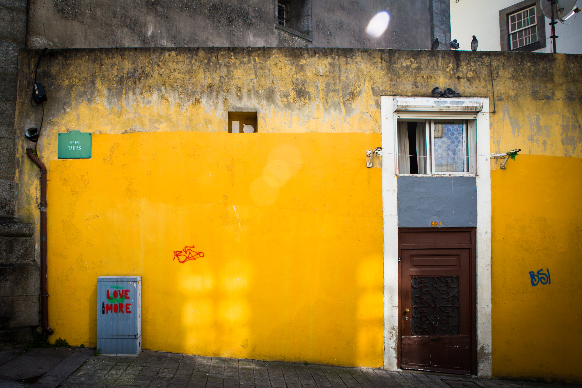 A yellow building with a brown door and a white-framed window. The building has graffiti and a small blue sign, and some pigeons are sitting on the upper part of the building.