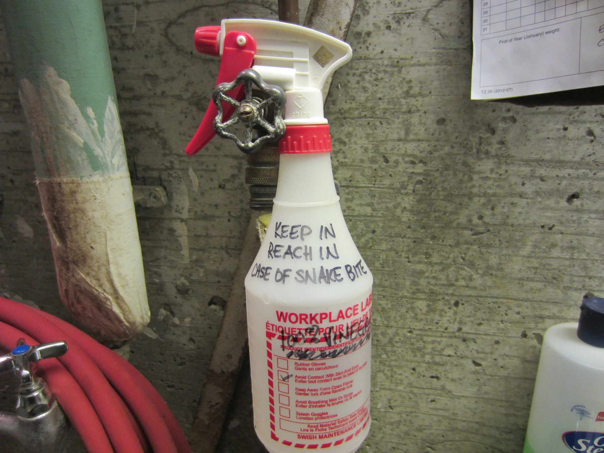 in case of snake bite.jpg