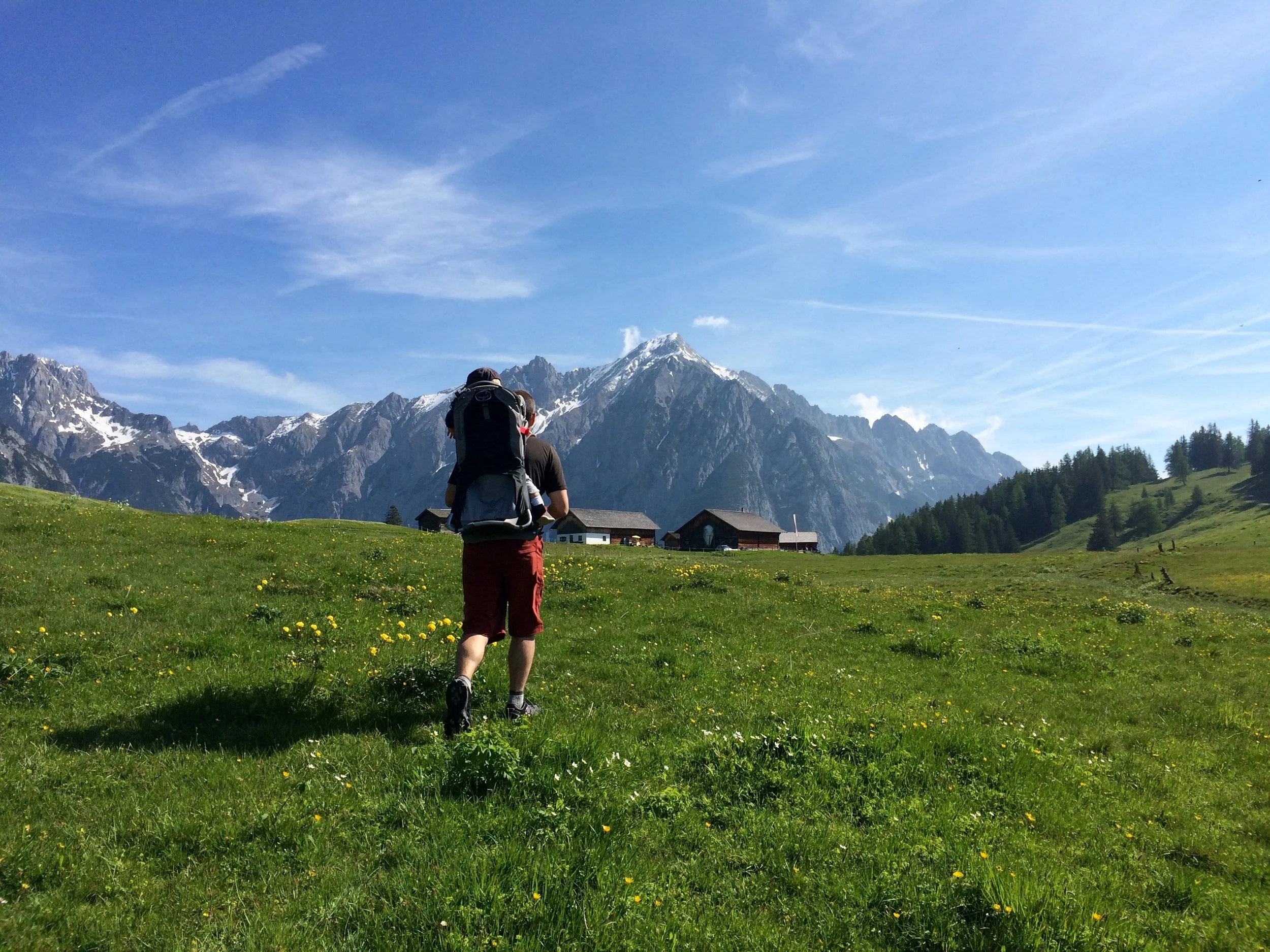 Walderalm, Austria