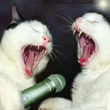 catkaraoke.jpg