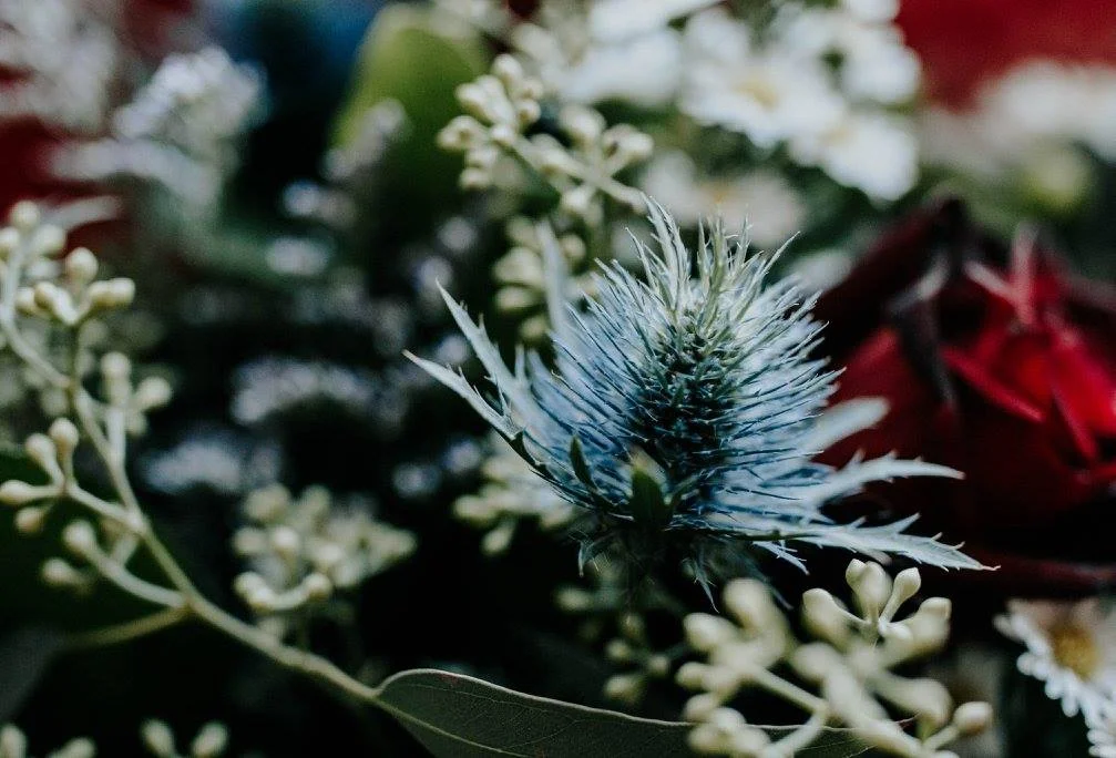 flowers_katy.jpg