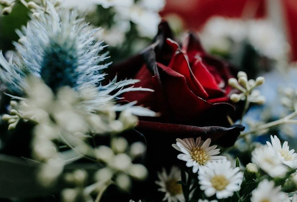 flowers 2_katy.jpg