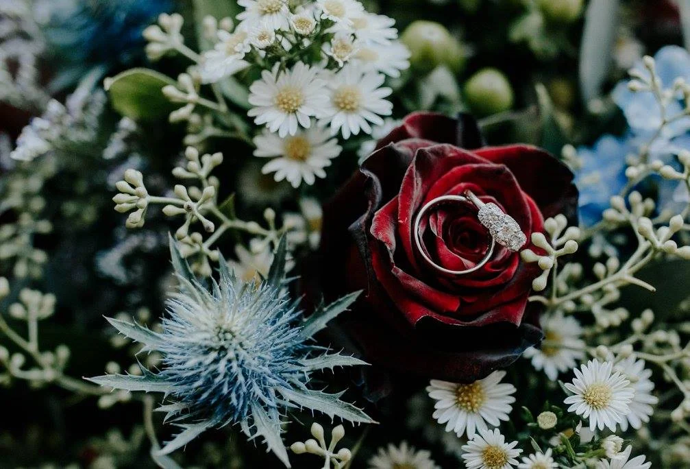 flowers 3_katy.jpg
