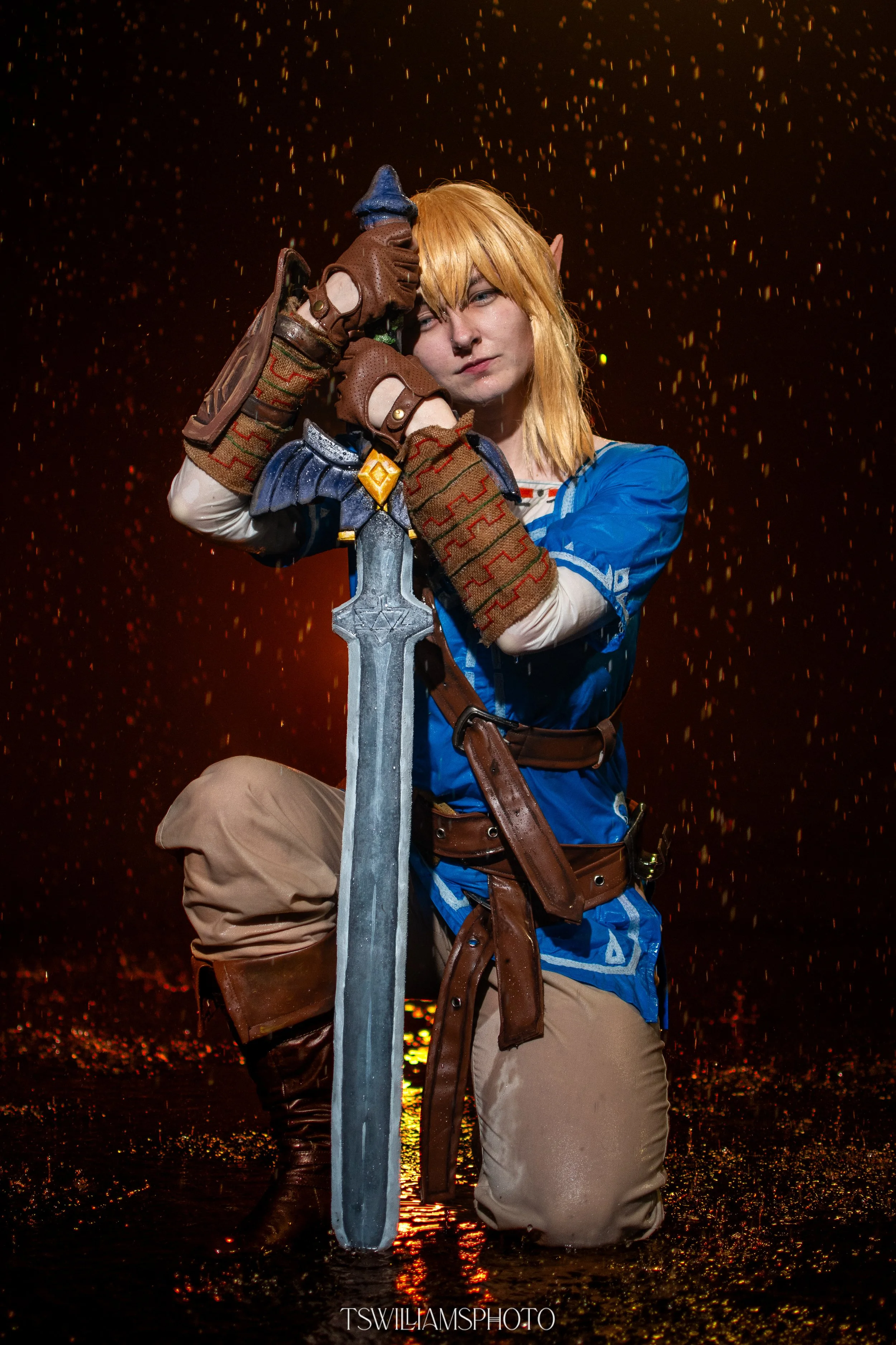 Link - Legend of Zelda: Breath of the Wild