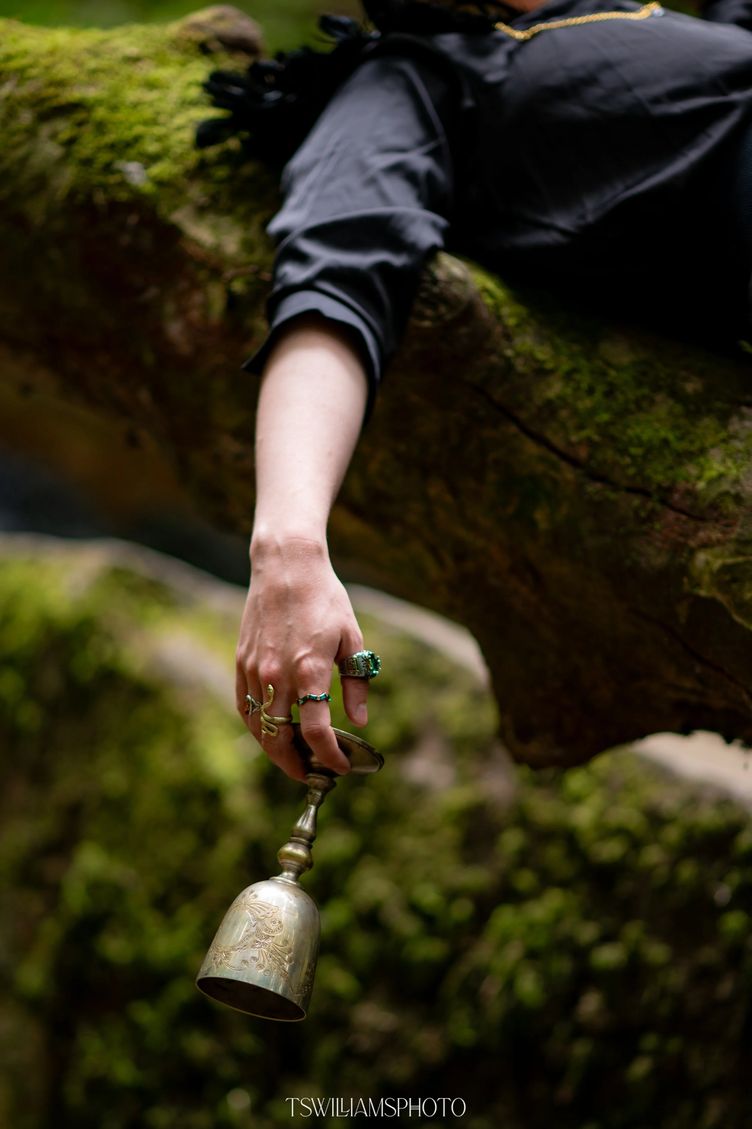 cardan - cup-9912.jpg