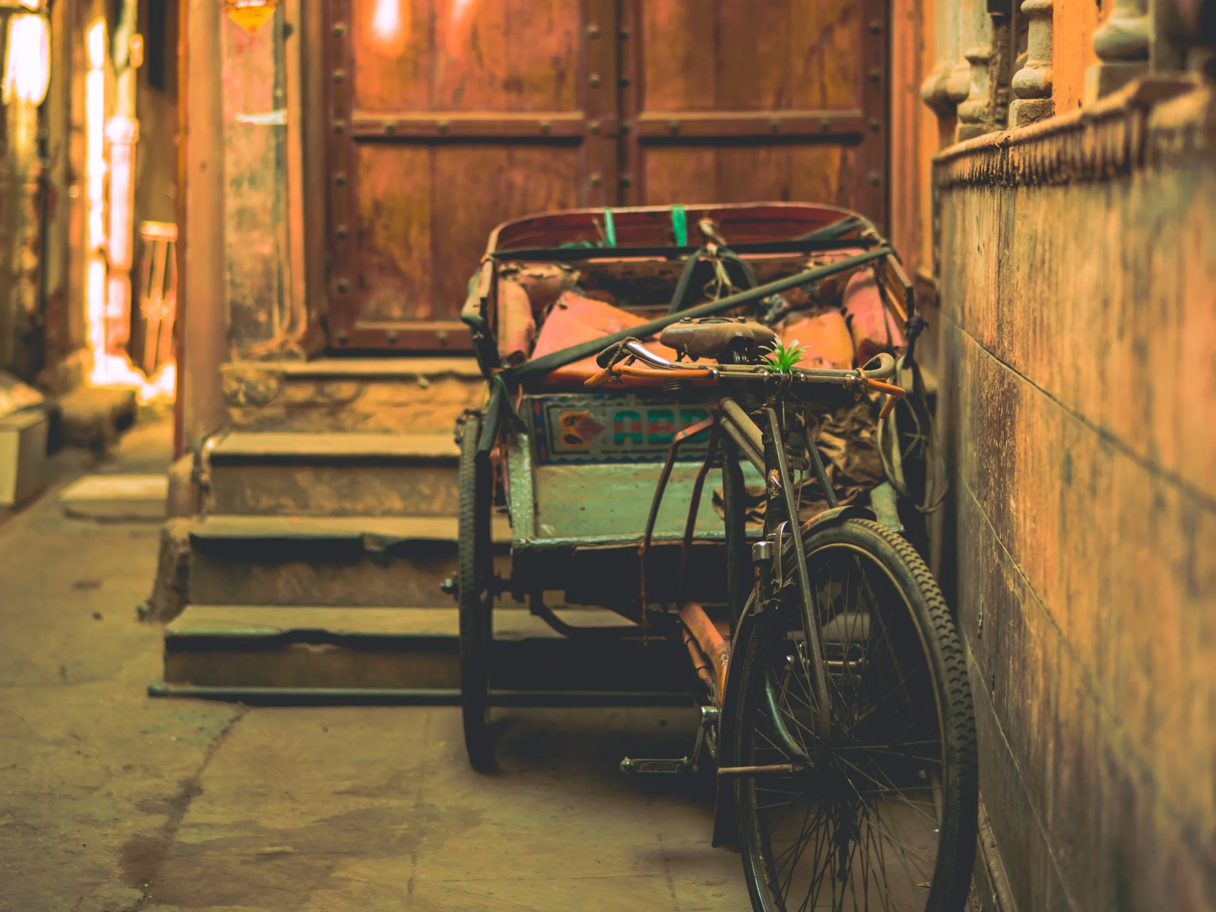dewang-gupta-vkULMOGbCLQ-unsplash.jpg