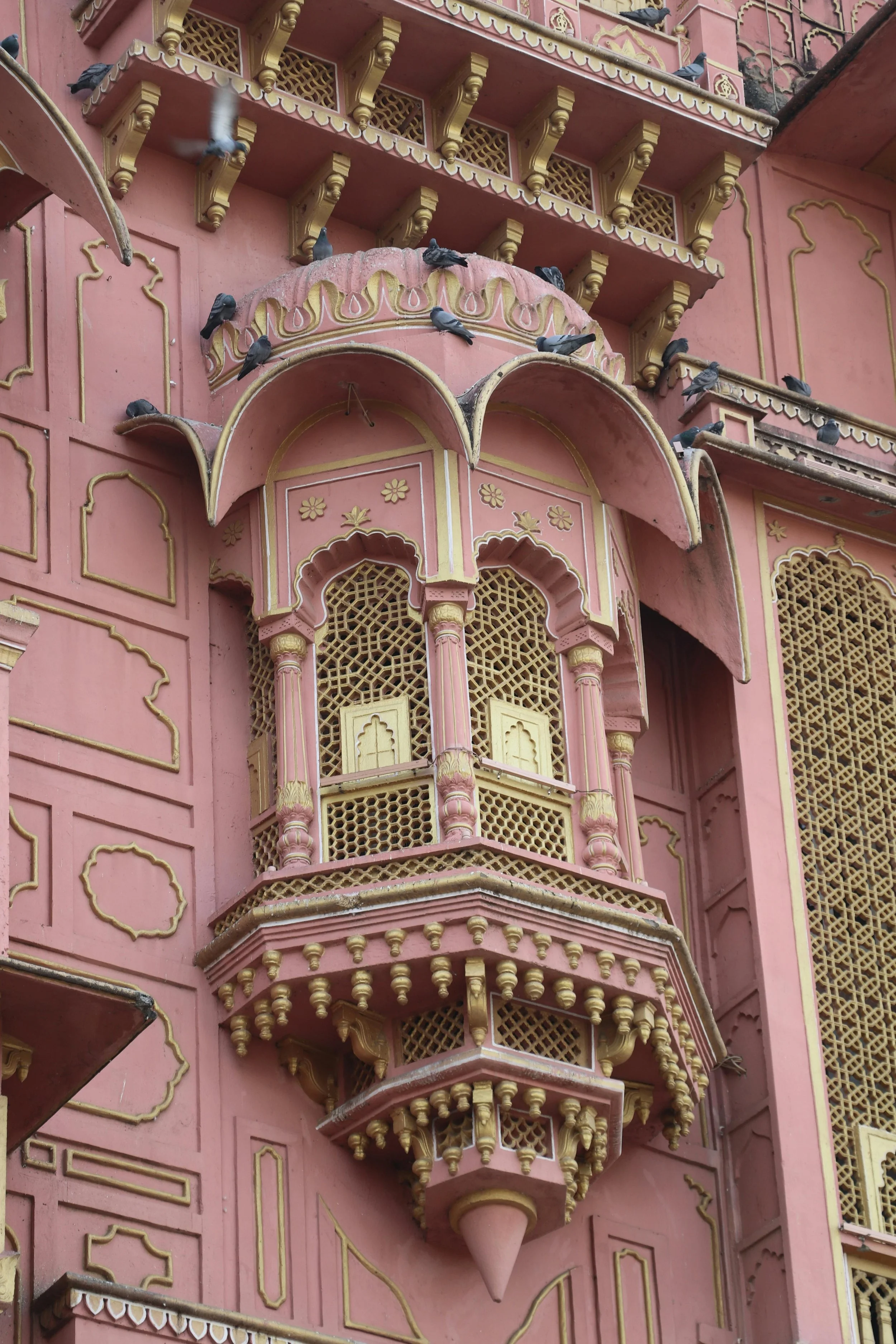 Explore the beautiful Pink City