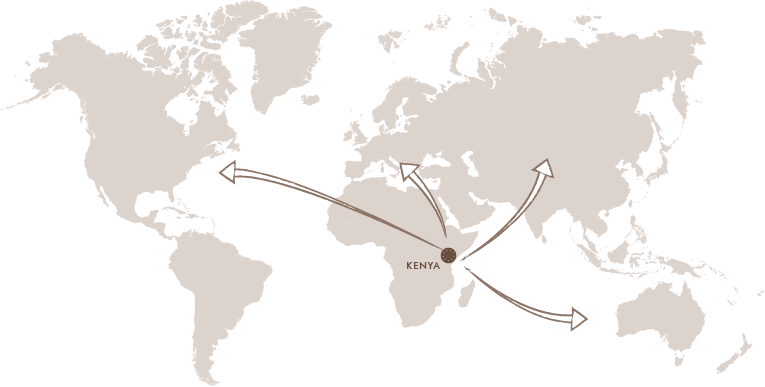 kenyadistrib.png
