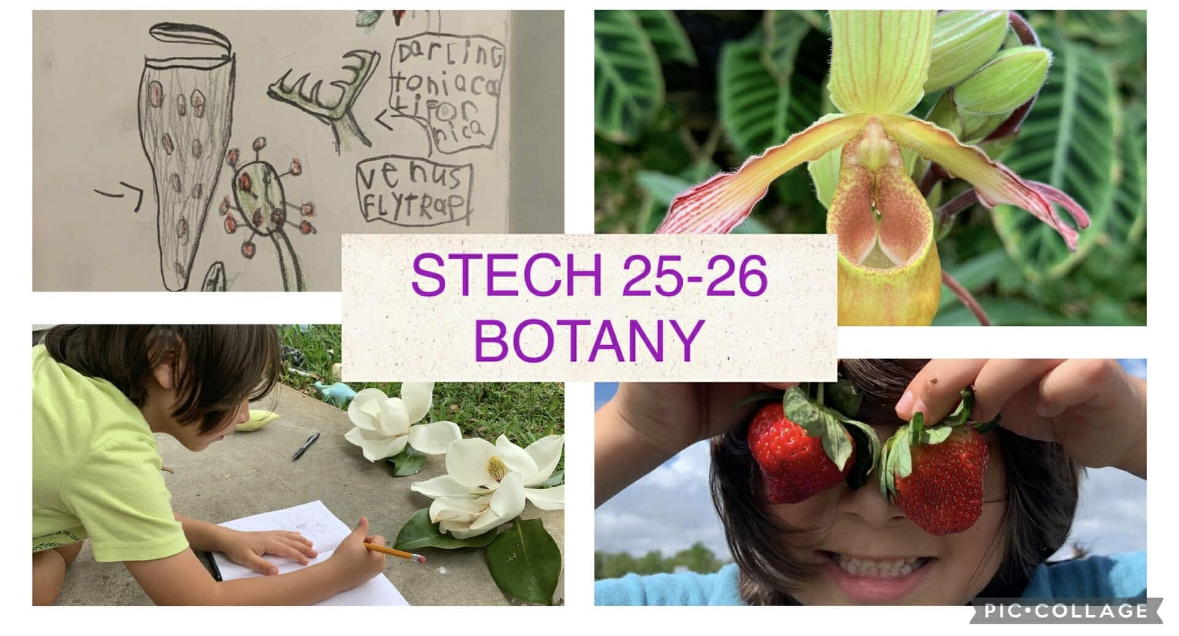 STECH- Science Together Emerald Coast Homeschool