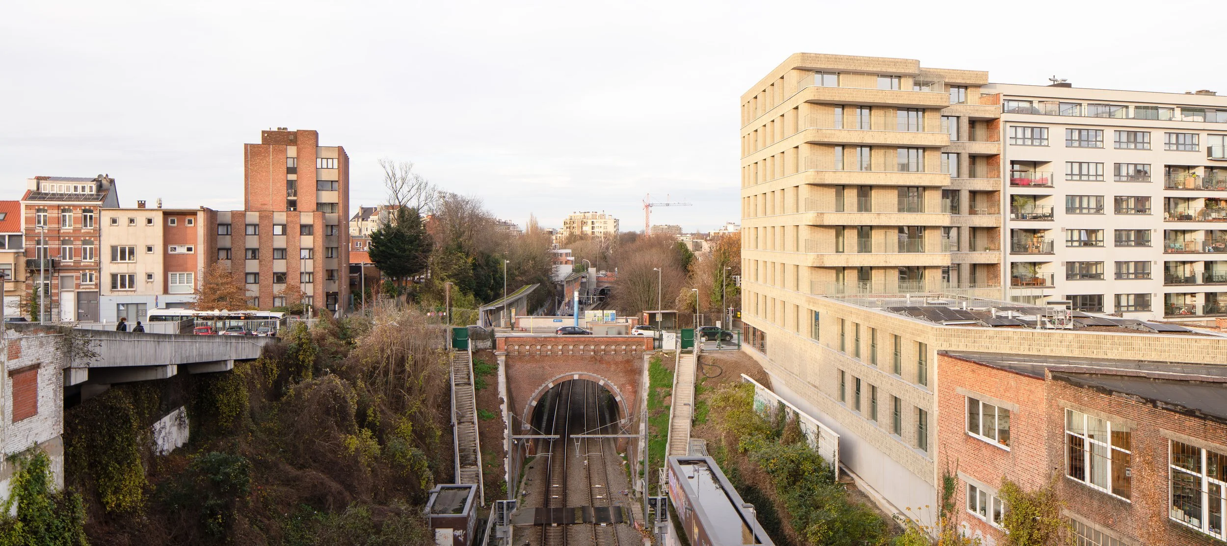 DSC4749_50_P website cover_website cover_1.jpg