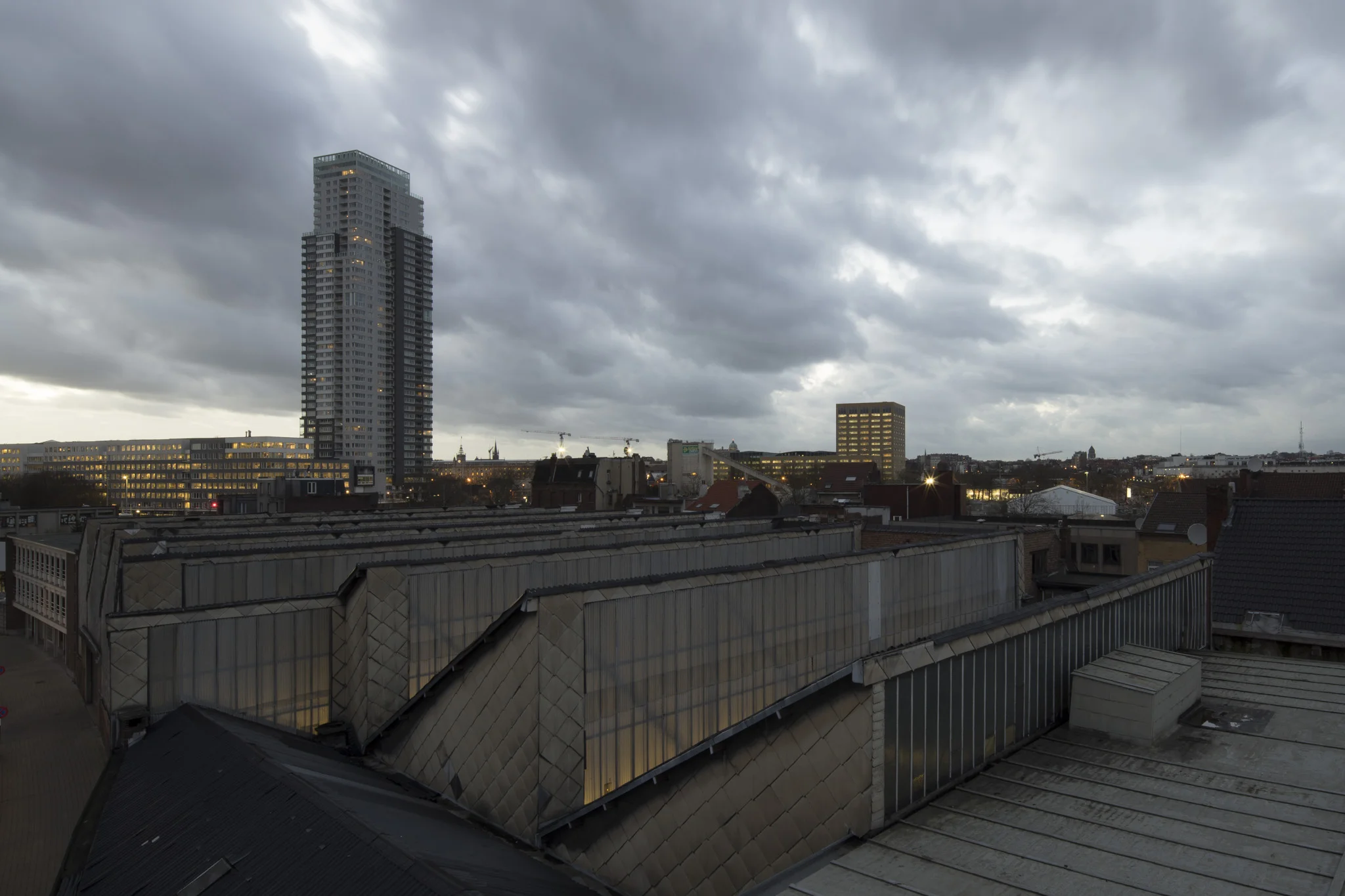 DSC03678-.jpg