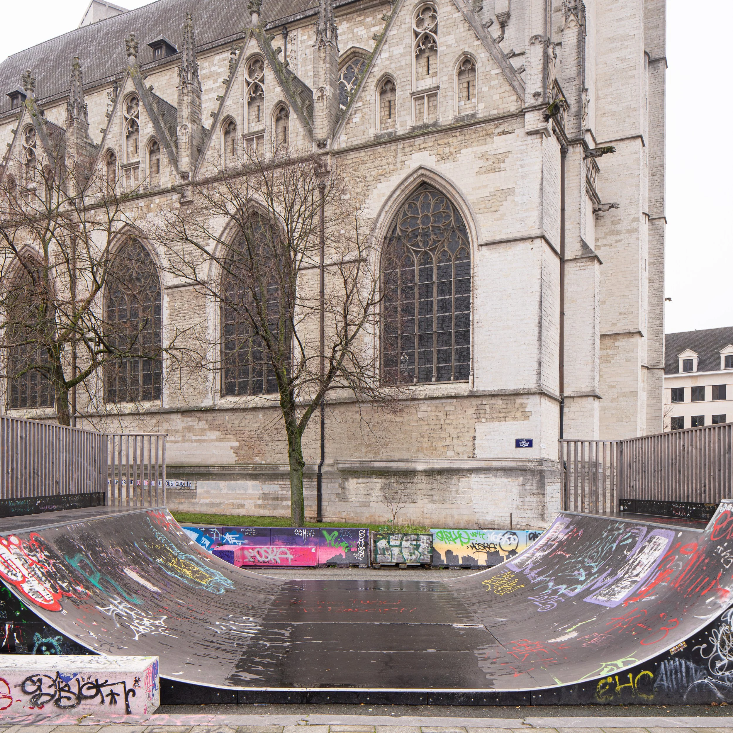 DSC5145 square website_mid.jpg