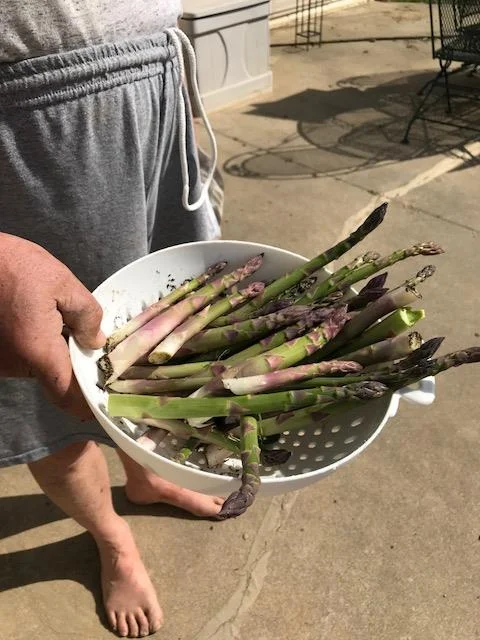 first asparagus.jpg