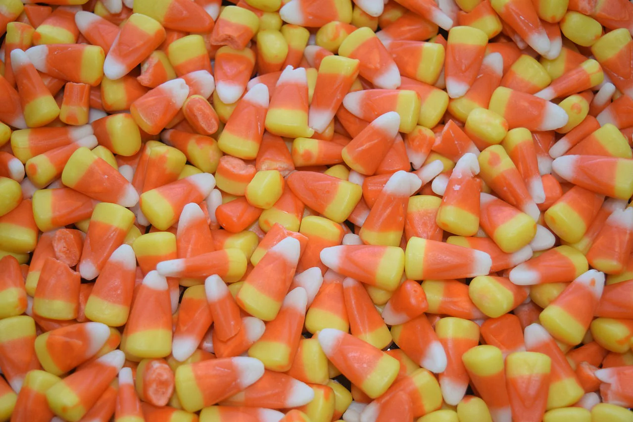 The Top 10 Reasons to (Really) Look Forward to Halloween