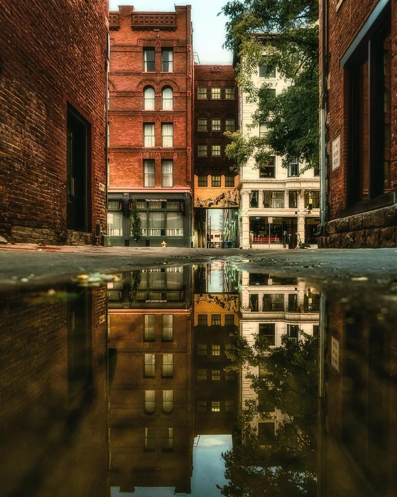 ~ M U L T I V E R S E ~ 
.
Perspective dictates how we view the world, but we can still be on the same side 
.
Happy Friday! 🙌🏼
.
20mm ~ f2.8 ~ 1/100 SEC ~ ISO 200
.
🎯 Photographers: I do 1:1 editing, creative direction, and mentoring. Let’s