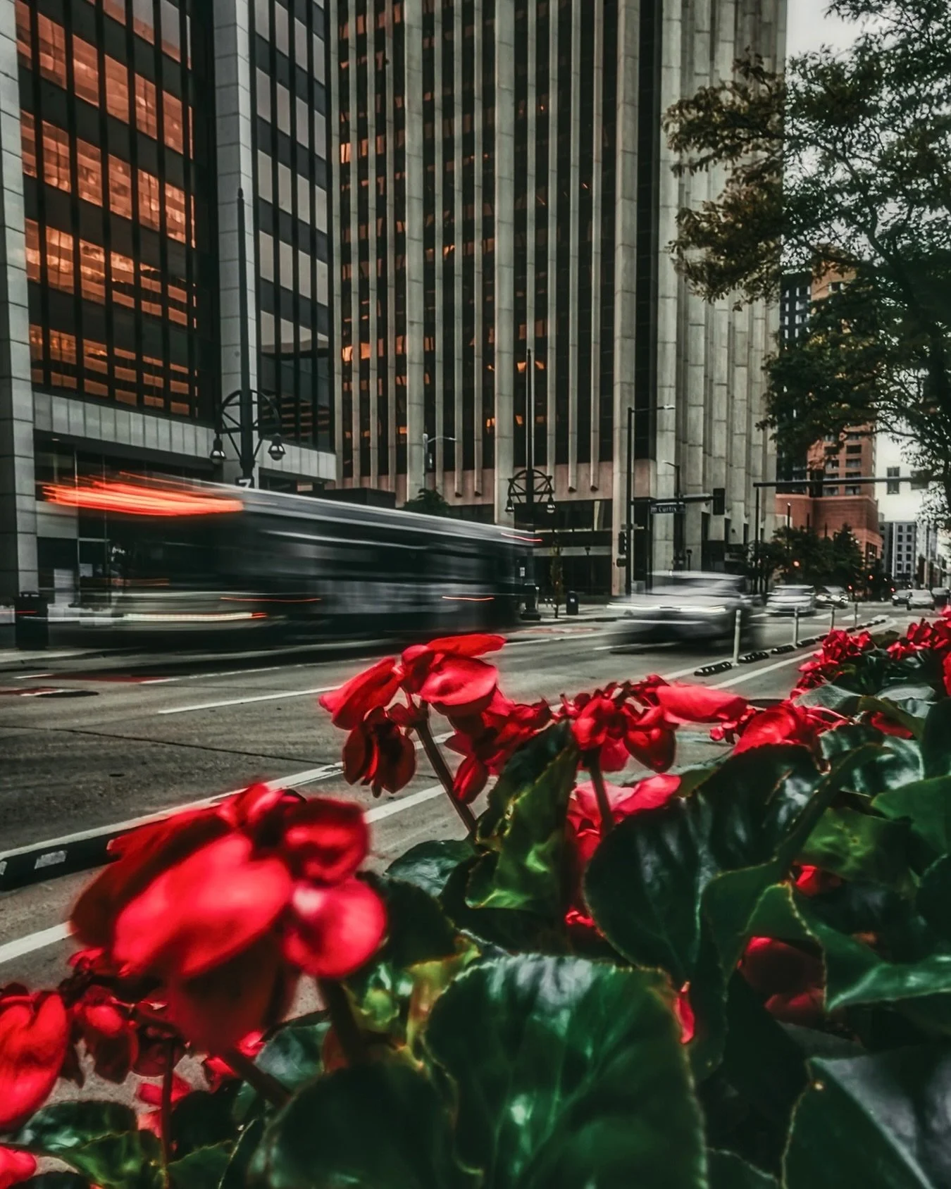 ~ M E R N I N ~ 
.
Mernin! 👋🏼
.
Hope you have a fab Monday! 🙌🏼
.
24mm ~ f22 ~ 1/3 SEC ~ ISO 50
.
🎯 Photographers: I do 1:1 editing, creative direction, and mentoring. Let’s build.🦾 
.
🖼️ Prints + services: neos-photography.com
.
📍Denver
