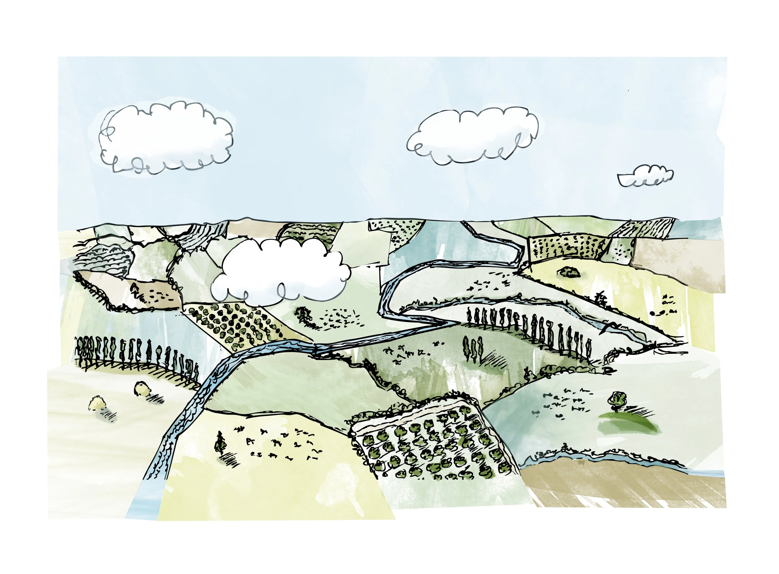 ss-illustrations-fields.jpg