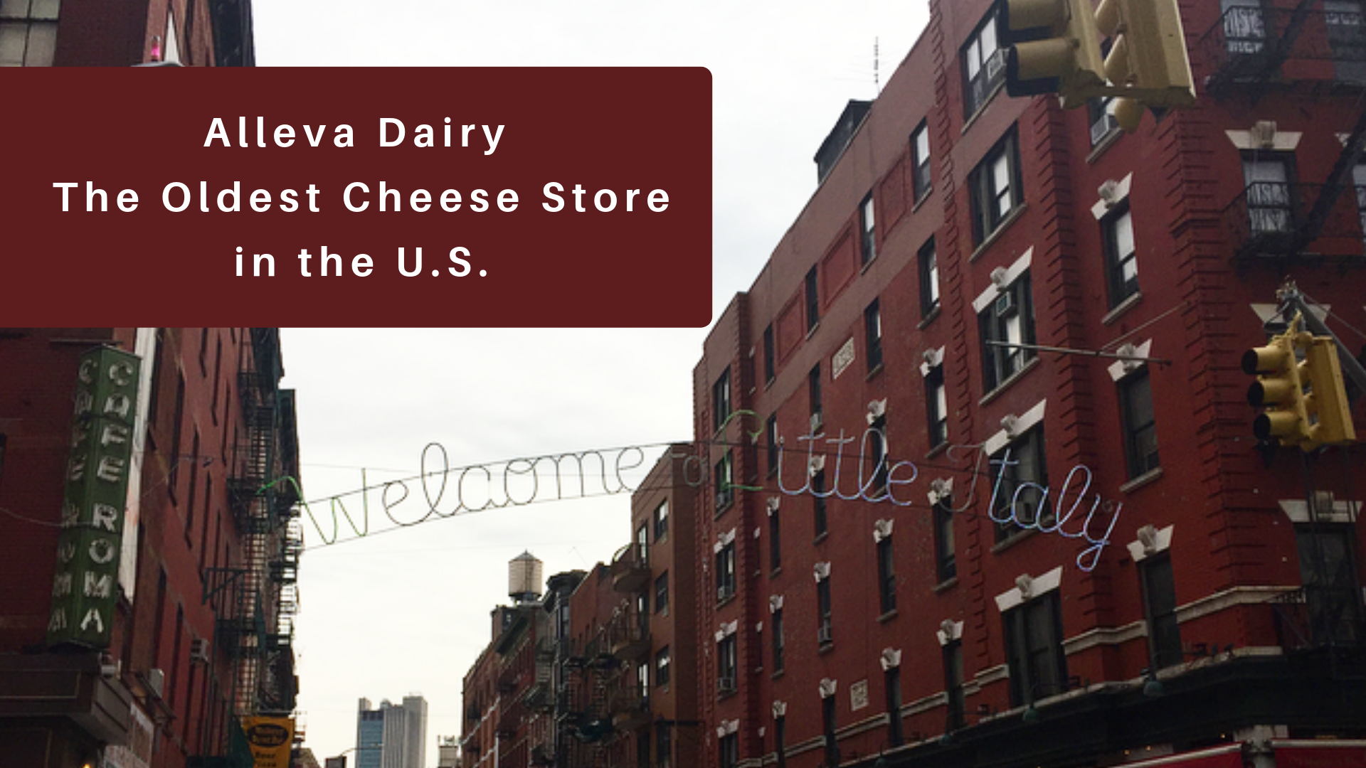 Alleva Dairy The Oldest Cheese Store in the U.S. — Kristen Martinelli