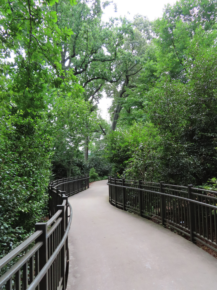 Atlanta Botanical Gardens_Walkway_GA_K.Martinelli Blog_Kristen Martinelli.png