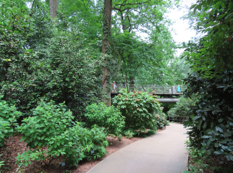 Atlanta Botanical Garden_Atlanta Georgia_Pathway_K. Martinelli Blog _ Kristen Martinelli.png