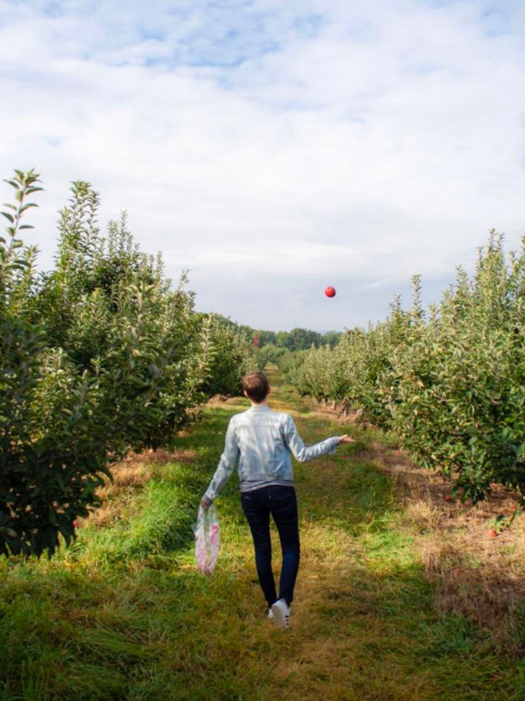 Masker's Orchard_Apple Picking_ Warwick NY_K.Martinelli Blog_Kristen Martinelli (1).png