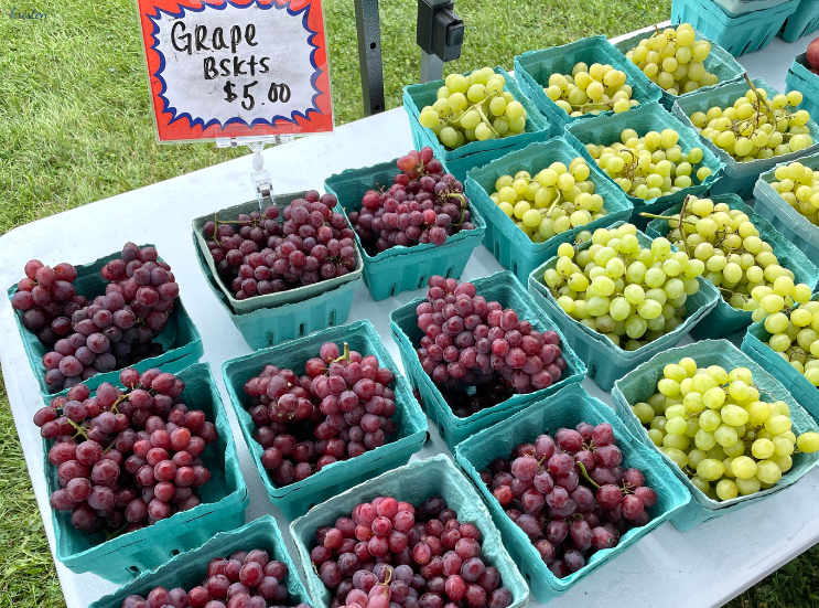 Seaside Park Farmer's Market_Grapes_K. Martinelli Blog _ Kristen Martinelli .png