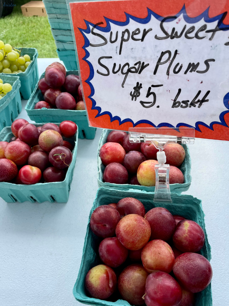 July Recap_Seaside Park Farmer's Market_Sugar Plums_K. Martinelli Blog _ Kristen Martinelli .png