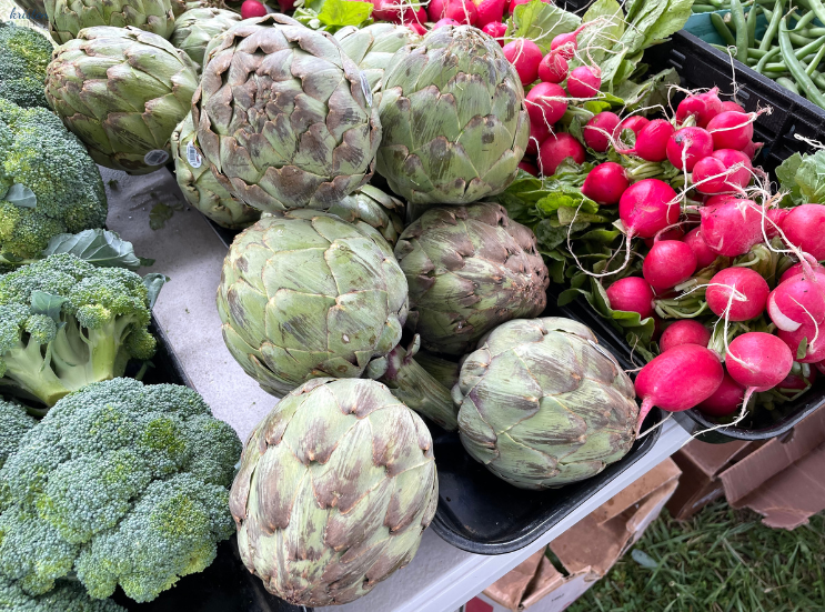 Seaside Park Farmer's Market_Vegetables_K. Martinelli Blog _ Kristen Martinelli .png