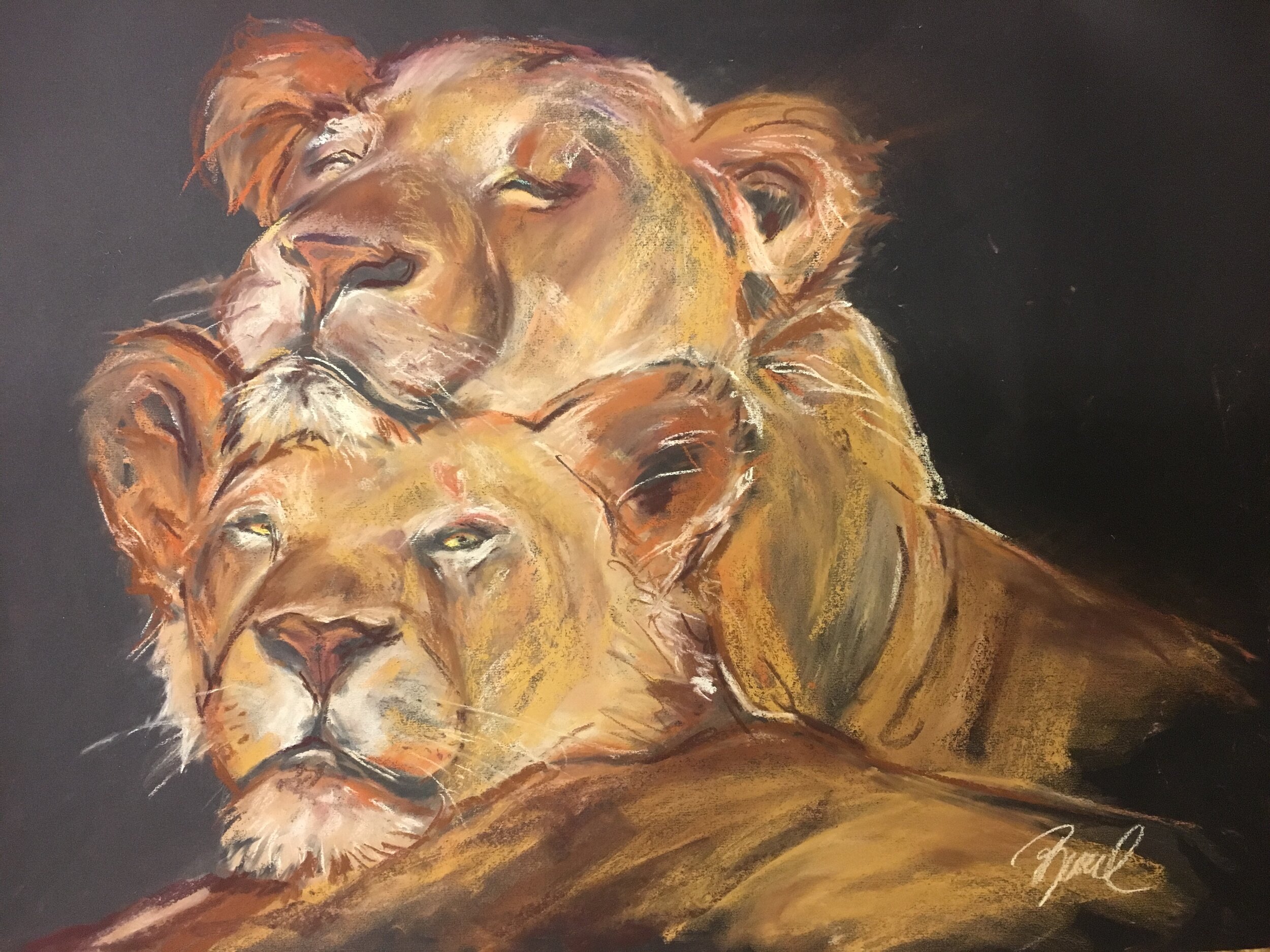 lions pastel.JPG