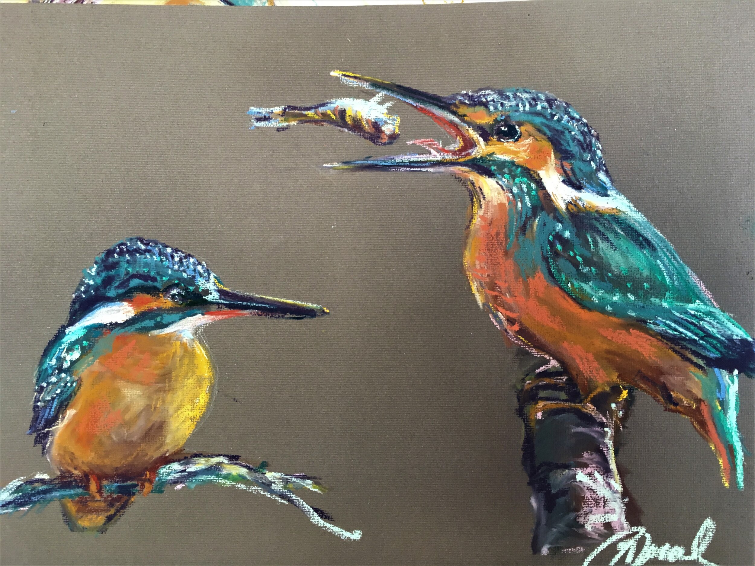 kingfishers pastel.JPG