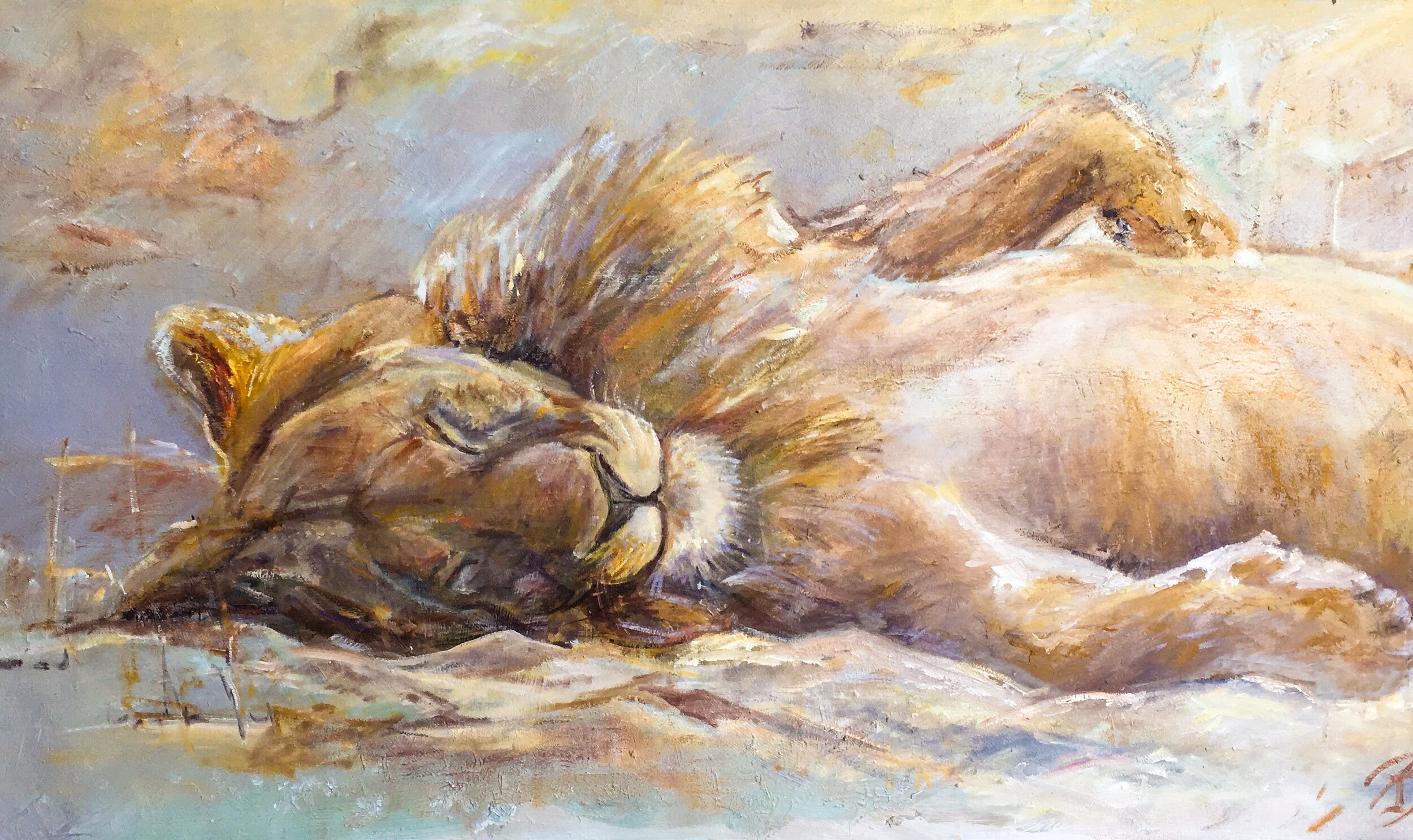 sleepin lion .jpg