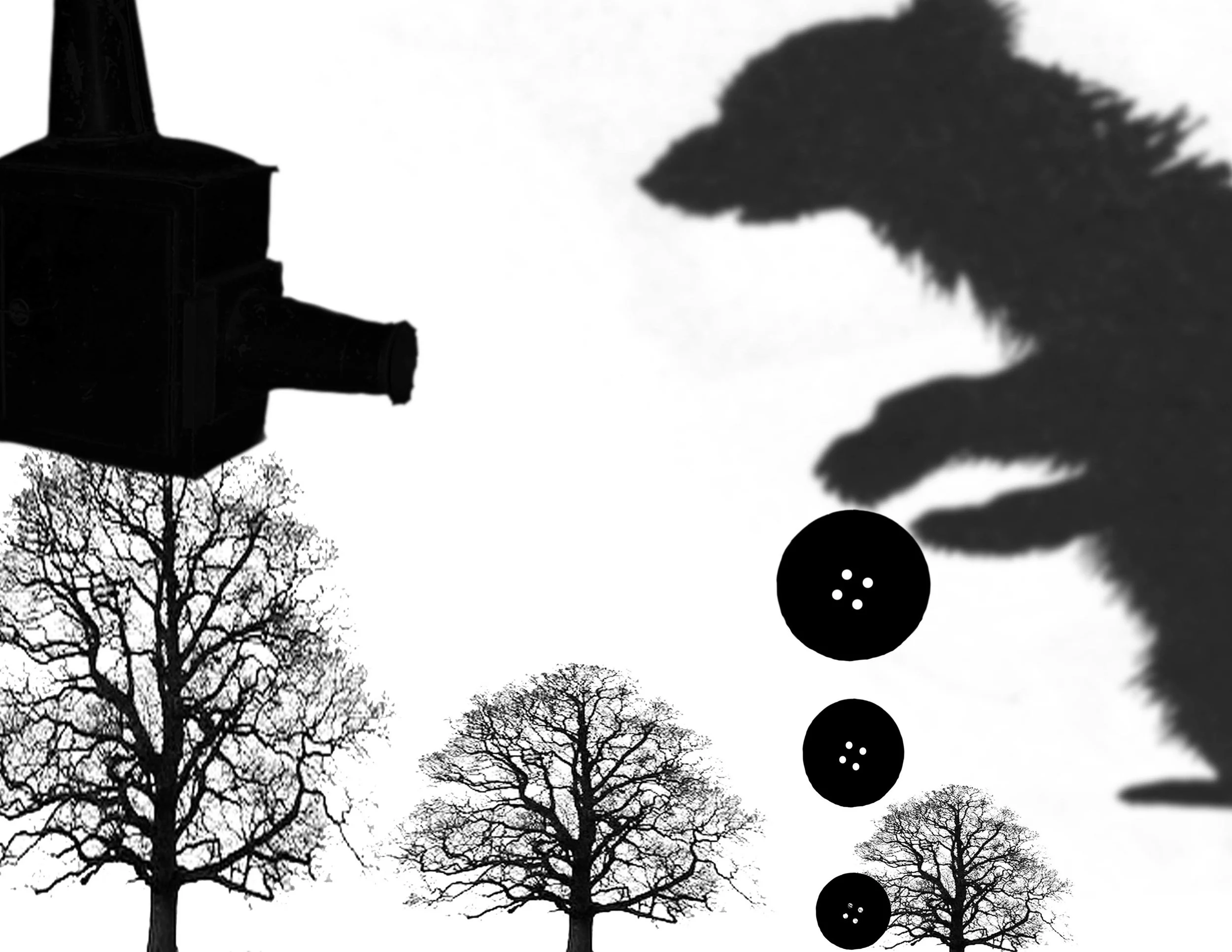 Shadow Puppet Workshop, BAMcinematic, 2013