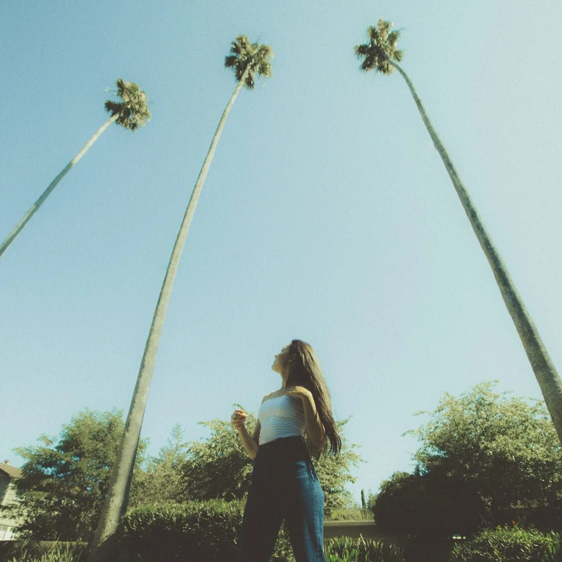 once upon a time... 🌴