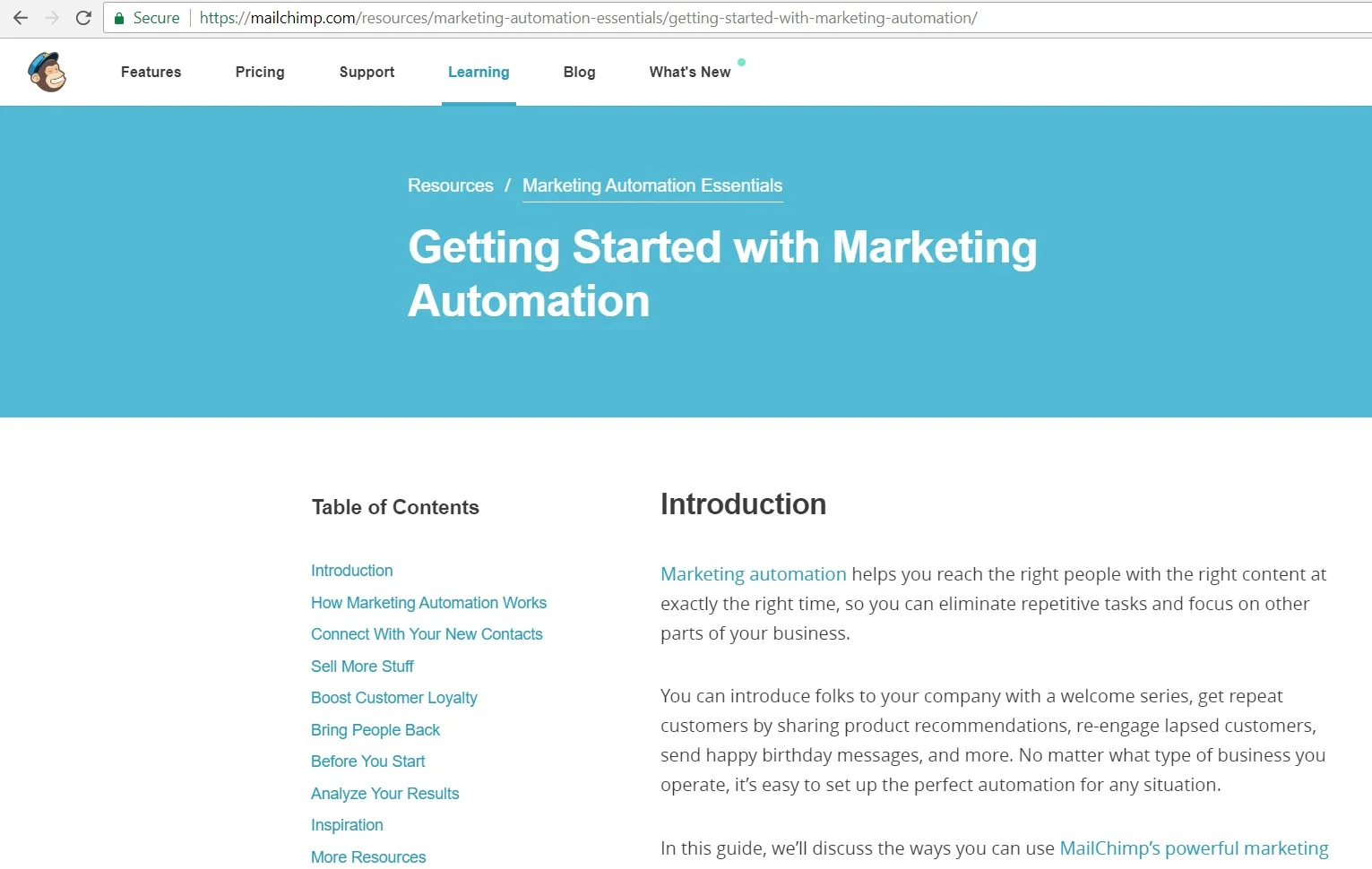 Image taken from www.mailchimp.com
