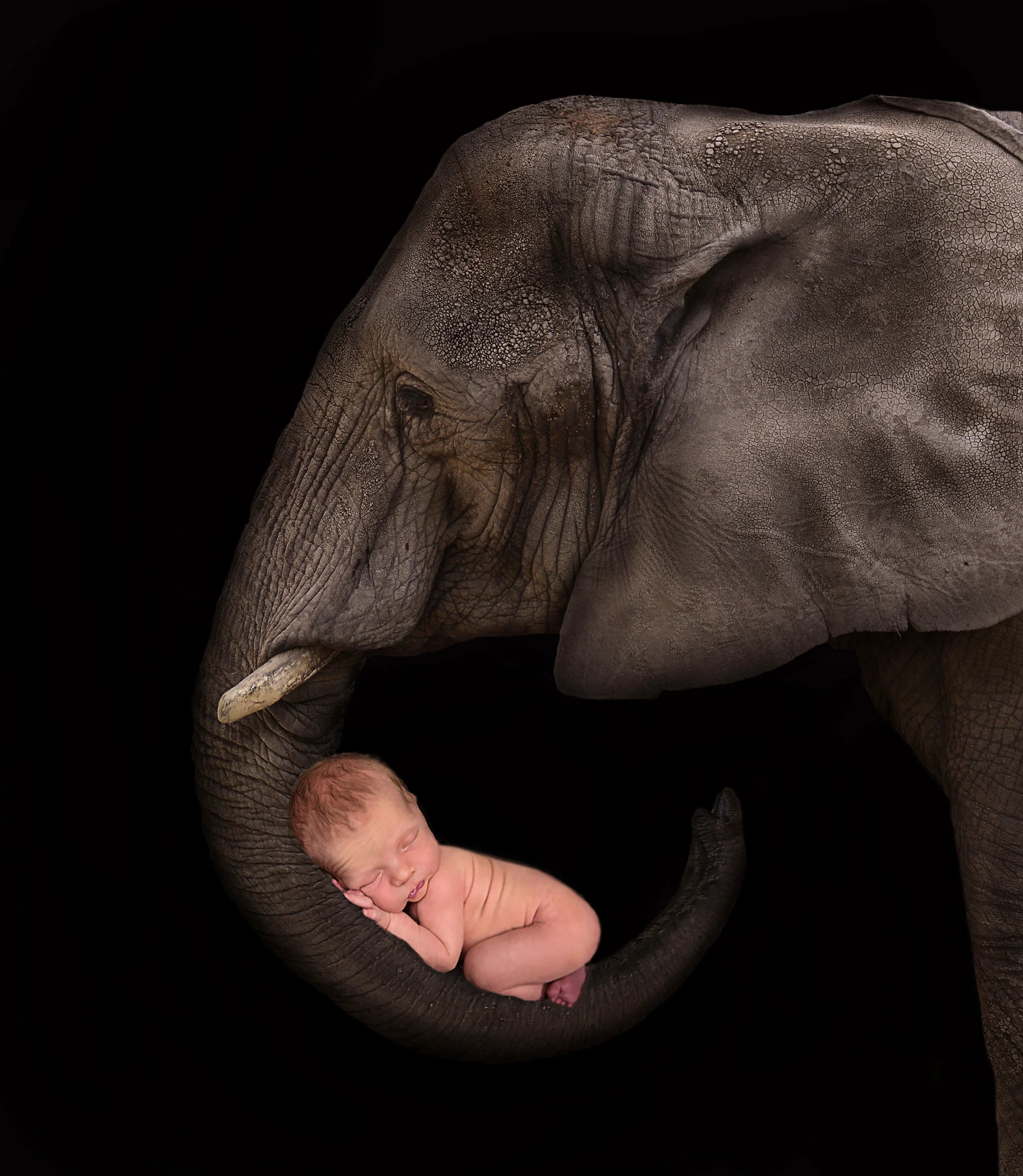 Boywithelephant.jpg