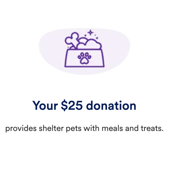 Petco POS Donation Redesign: Turning a redesign into an experimentation engine