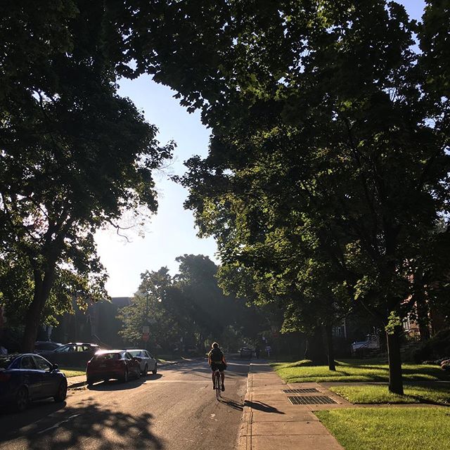 Morning light
#mtlmoments #montreal #mtl #outremont #montrealstreets #streetsofmtl #photooftheday #sun #sunlight #green #trees #fog #smog #summerheat #september #mtlweather #summerweather #walk #stroll #instaphoto #instamoment #mood #potd #mtlblog