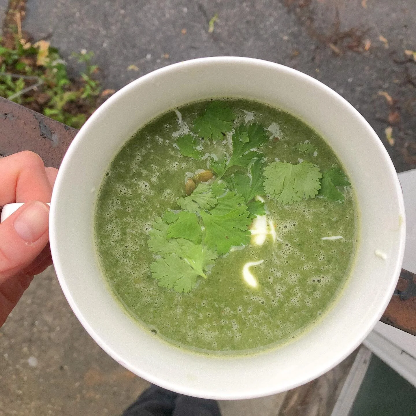 Cream of Spinach Soup