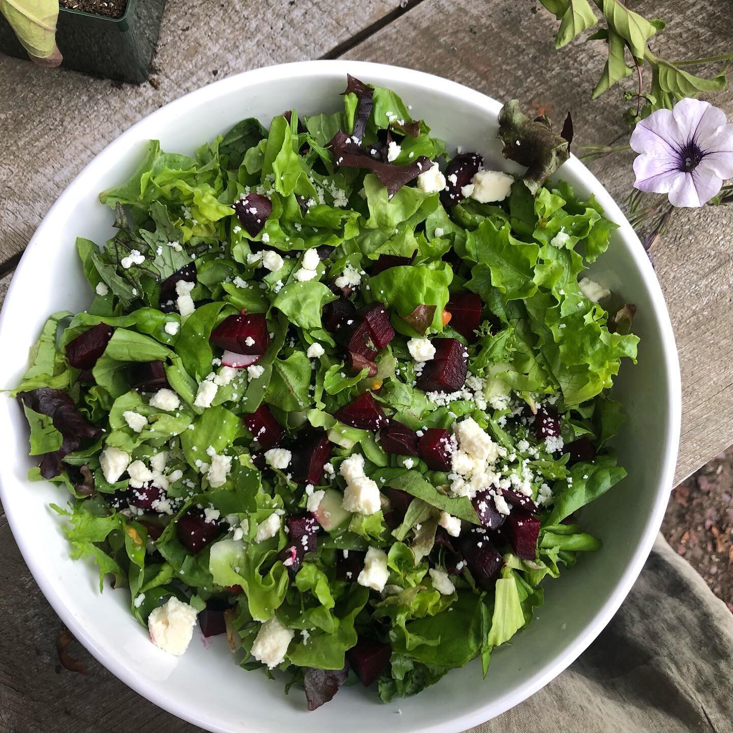 A quick lunch made with fresh salad mix, roasted beets, feta and hemp hearts &hearts;️ dressing is olive oil, orange juice, garlic scapes, salt and pepper. 

#localharvestcsa #communitysupportedagriculture #eatlocal #yesfarmsyesfood