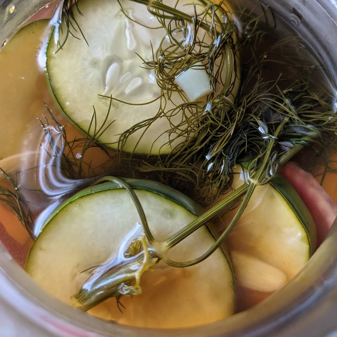 Refrigerator pickles are ready and they're oh so good. Look at previous post for the recipe!

#eatlocal #eatfresh #supportlocalfarms #communitysupportedagriculture #603 #localharvestcsa #preservetheharvest #refrigeratorpickles