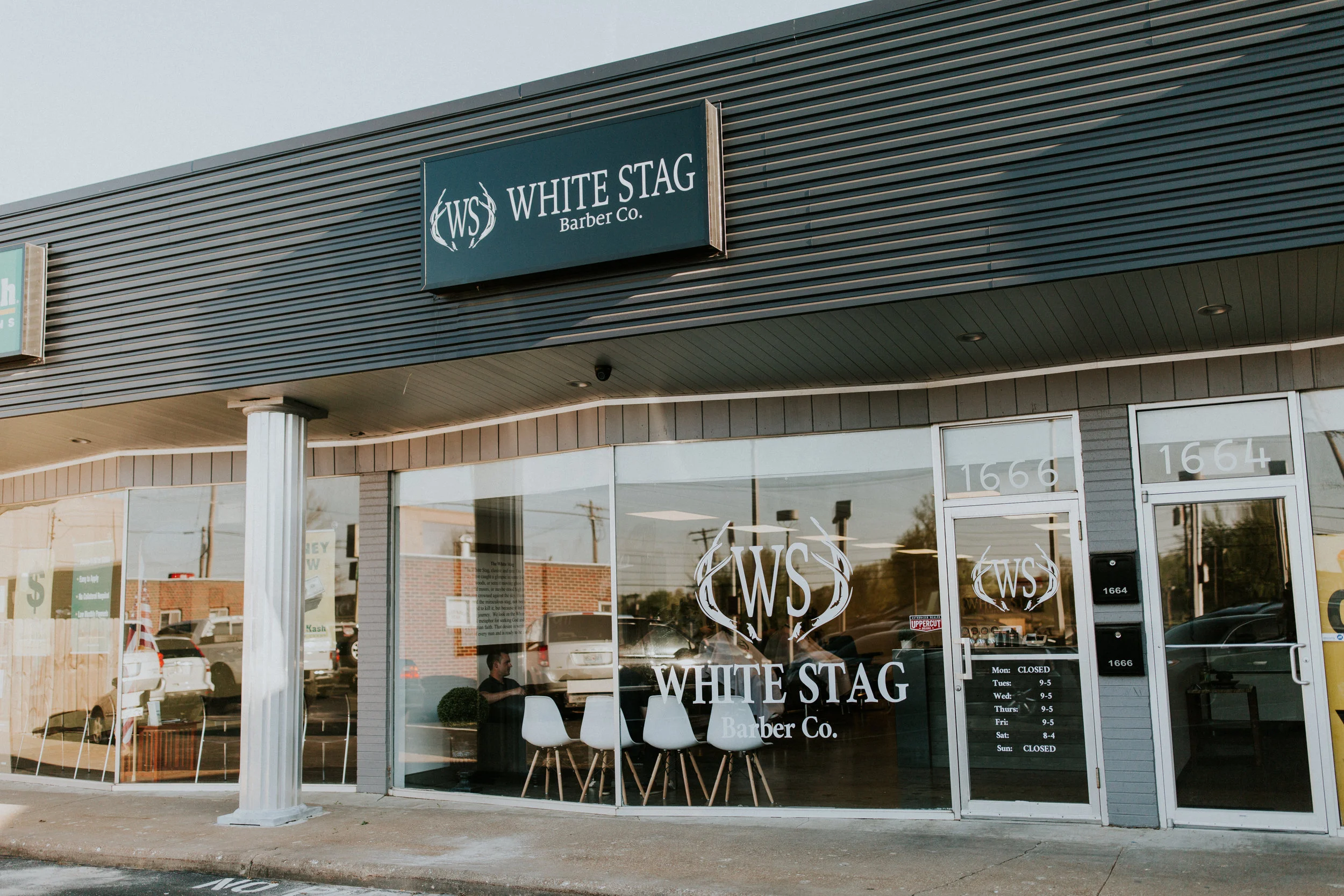 WhiteStag048.jpg
