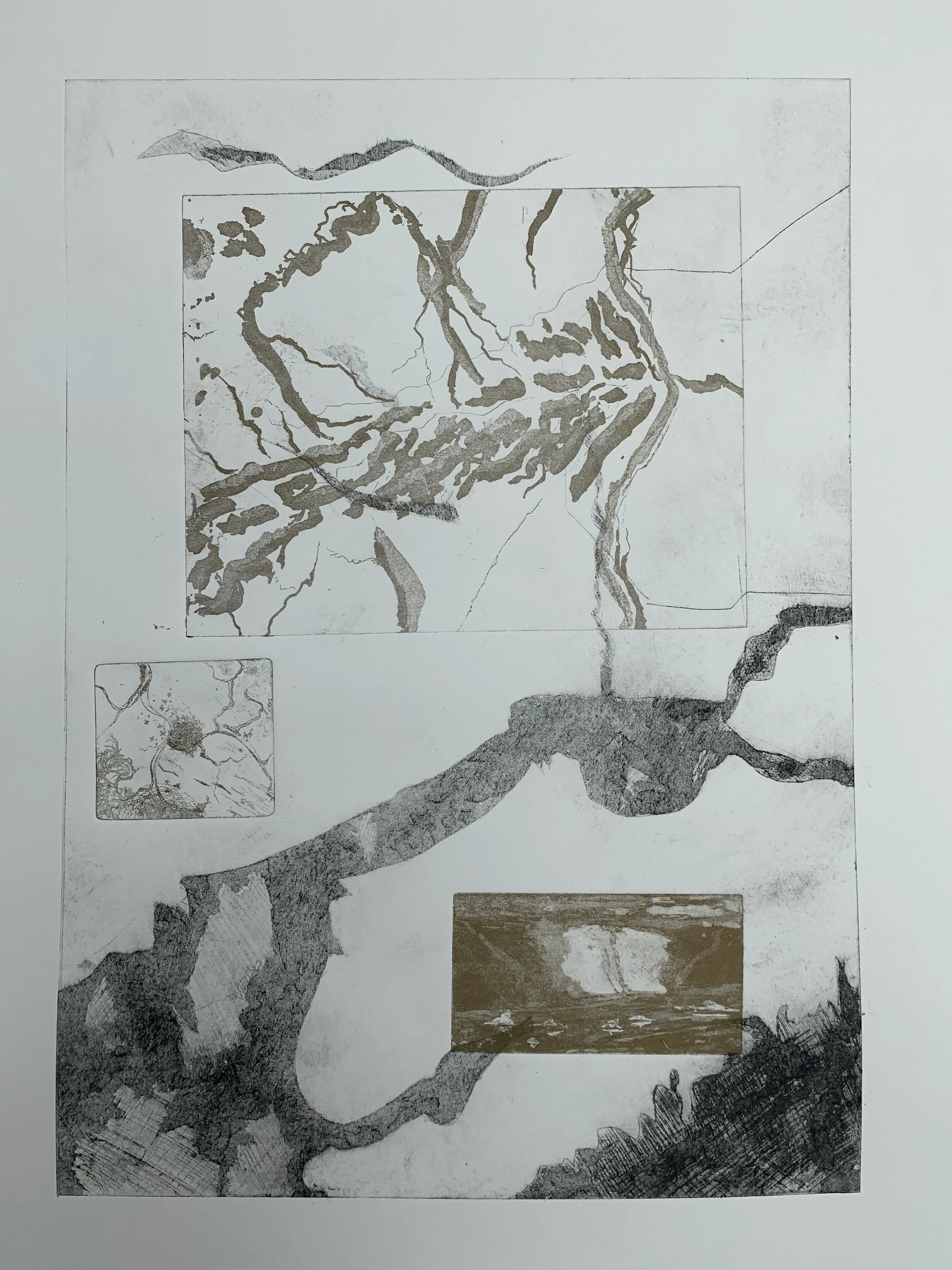 Windows on Alaska in black and gold