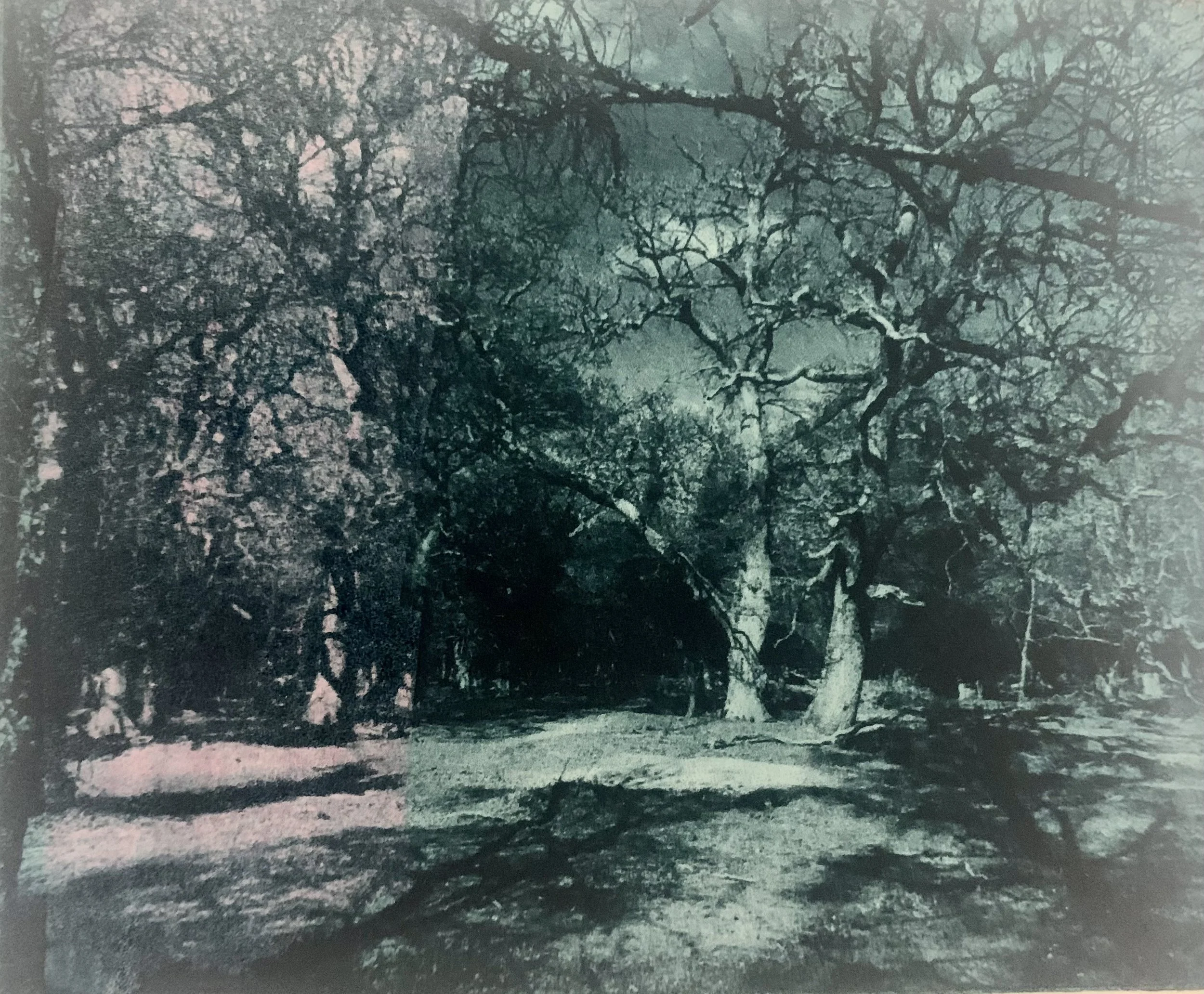 Enclosure (New Forest)